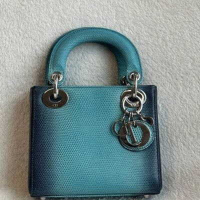 DIOR Ombre Green Blue Grained Lizard Lady Dior Tote Bag Mini SHW