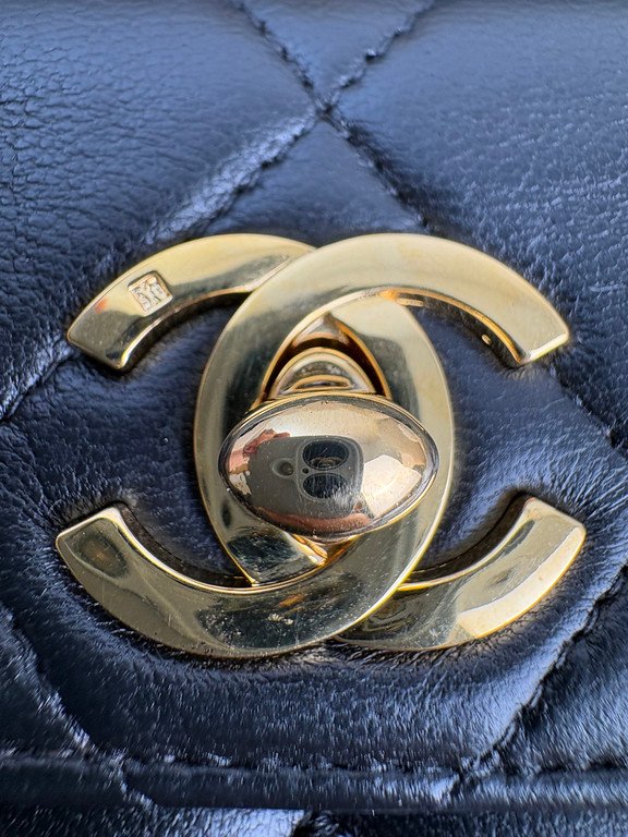 CHANEL Black Lambskin Duma Backpack Medium GHW - Image 22