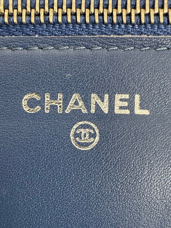 CHANEL Blue Alligator Wallet on Chain WOC SHW - Image 12